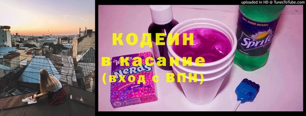 гашик Алексин