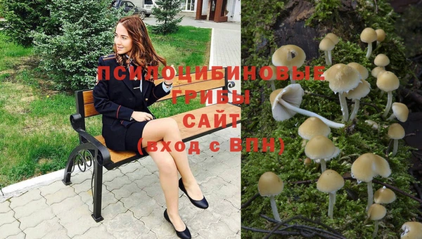 амф Армянск