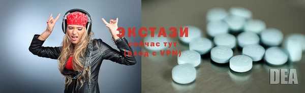 гашик Алексин