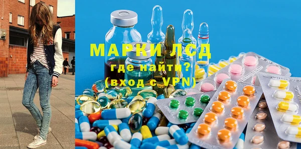 гашик Алексин