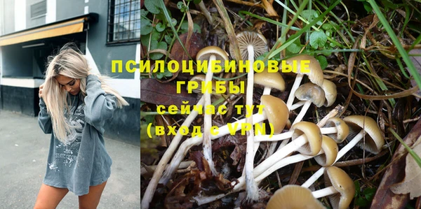 MDMA Premium VHQ Гусев