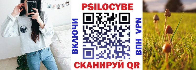Псилоцибиновые грибы мухоморы  мега маркетплейс  Аркадак 